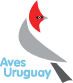 Aves Uruguay